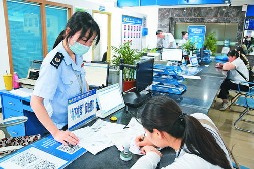 繪就達州經濟社會高質量發展新篇章 社會經濟咨詢服務的價值與路徑